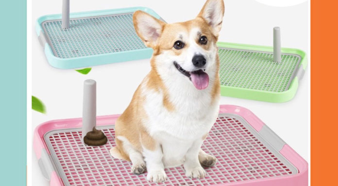 Dog Hygiene Made Easy: The Ultimate Guide to Choosing the Perfect Puppy Potty Tray