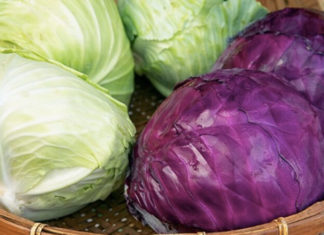 The Ultimate Guide to Naming Vegetables for the Clueless.