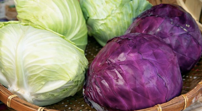 The Ultimate Guide to Naming Vegetables for the Clueless.