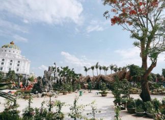 The Ultimate Travel Guide to Ninh Binh’s Dinosaur Park