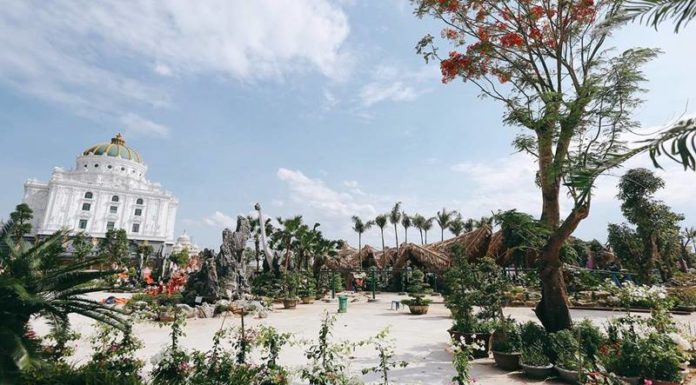 The Ultimate Travel Guide to Ninh Binh’s Dinosaur Park