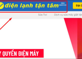 “Beware of Fake Websites: The ‘Dich vu Tan Tam’ Scam”