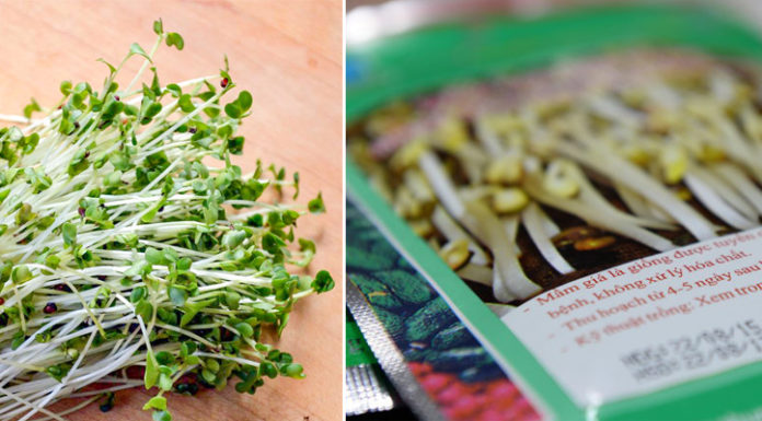 “Be Wary of the Dangers of Low-Quality Sprouts”