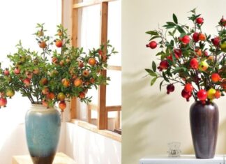 The Ancient Secret to a Happy Marriage: What’s Behind the Pomegranate Branch in the Bedroom?