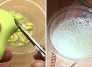 The Magic Soap Solution: Keep Mosquitos at Bay