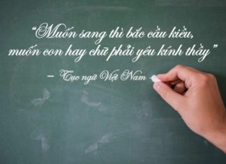 The Magic of Mentorship: 72 Quotes to Celebrate the Power of Teaching