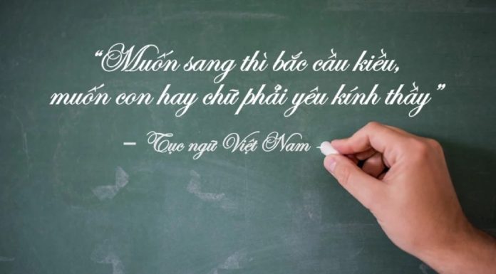 The Magic of Mentorship: 72 Quotes to Celebrate the Power of Teaching