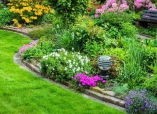 What are Shrubs? Top 15 Flowering Shrubs for a Beautiful Landscape.