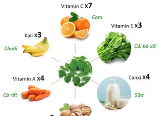 The Amazing Health Benefits of Moringa Trees Unveiled