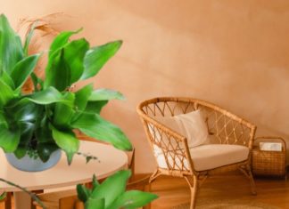 “Attract Wealth and Prosperity: Plant This Tree in Front of Your Home”