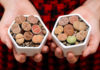 The Marvel of Living Stones: Unveiling the Unique Beauty of Lithops