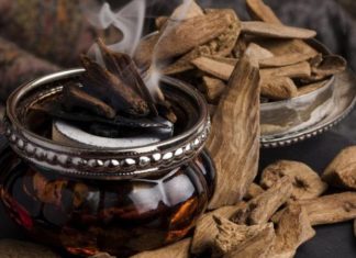 Agarwood: Unveiling the Secrets of its Characteristics, Applications, and Cultural Significance