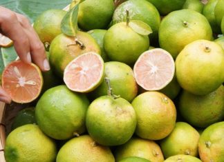 What are Pink Lemons? Are They Better Than Regular Lemons?