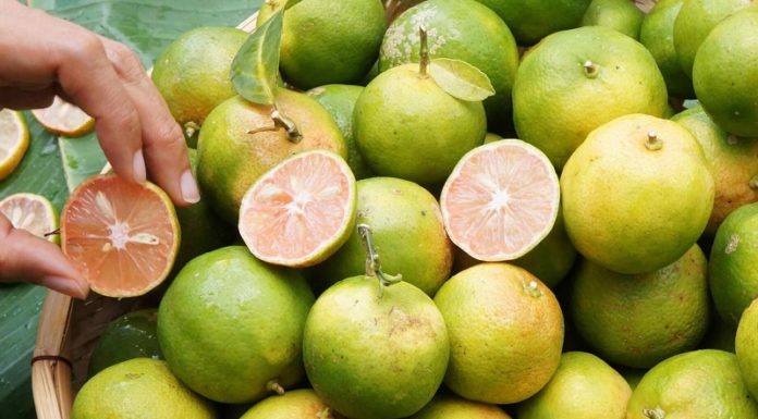 What are Pink Lemons? Are They Better Than Regular Lemons?