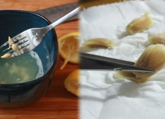 “Don’t Waste Those Zesty Lemon Pips! Transform Your Garden and Enjoy a Perpetual Harvest of Citrus Fruits by Planting Them.”