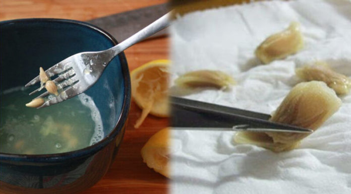 “Don’t Waste Those Zesty Lemon Pips! Transform Your Garden and Enjoy a Perpetual Harvest of Citrus Fruits by Planting Them.”