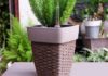 The Magic of Smart Plant Pots: Unlocking the Secrets to Greener Thumbs.