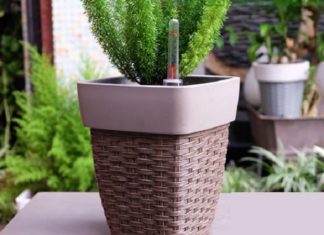 The Magic of Smart Plant Pots: Unlocking the Secrets to Greener Thumbs.