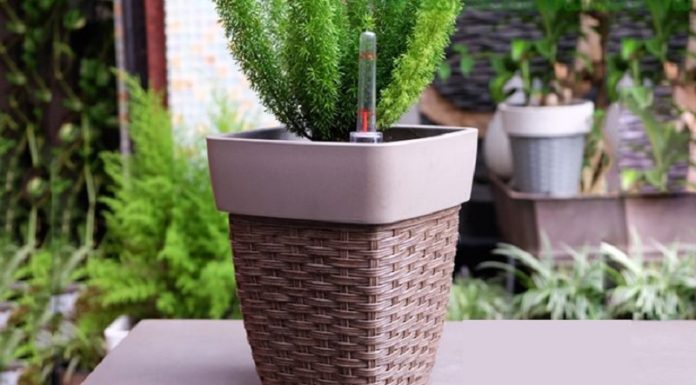 The Magic of Smart Plant Pots: Unlocking the Secrets to Greener Thumbs.