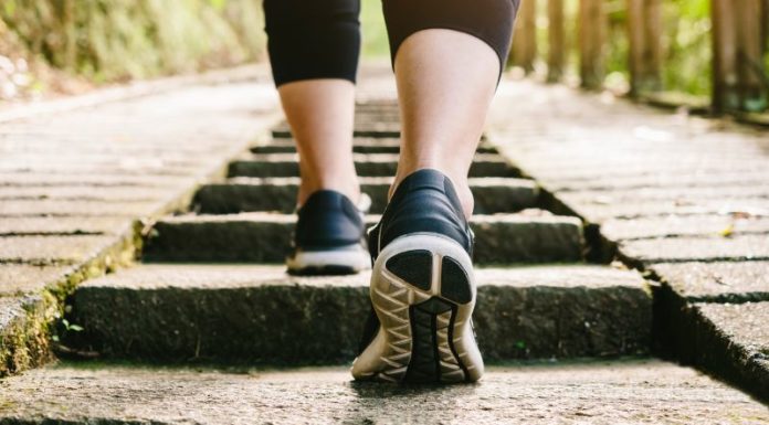 Is Running Better Than Walking? Should You Walk or Run?