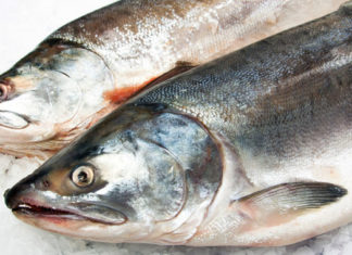 The Perfect Guide to Cooking Salmon: Delicious Recipes and Techniques