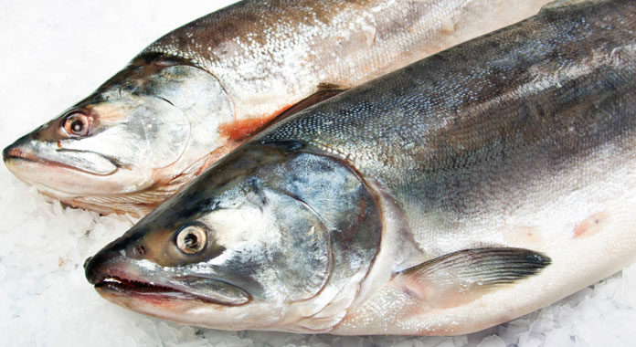 The Perfect Guide to Cooking Salmon: Delicious Recipes and Techniques