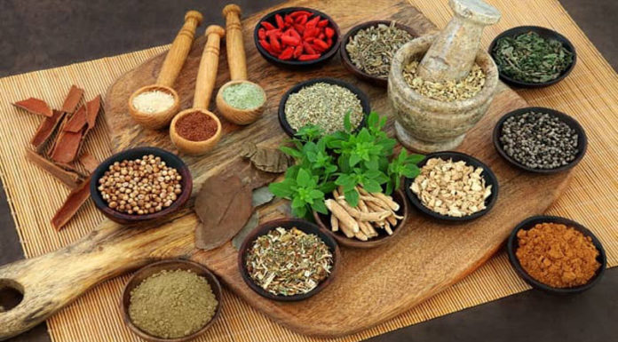 What is the Ayurvedic Diet and How Can it Benefit Your Health?