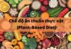 What is a Plant-Based Diet? Unlocking the Benefits and What You Need to Know.