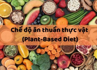 What is a Plant-Based Diet? Unlocking the Benefits and What You Need to Know.