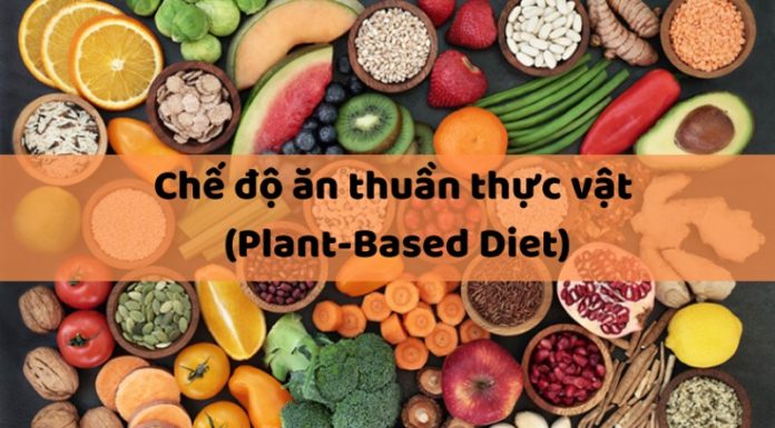 What is a Plant-Based Diet? Unlocking the Benefits and What You Need to Know.