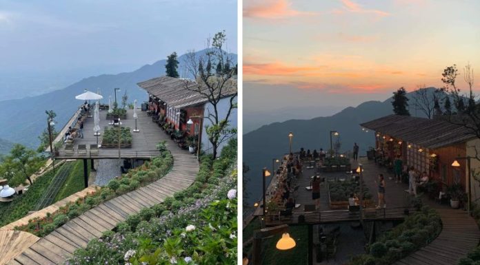 The Ultimate Guide to a Relaxing Getaway: Cloud-Watching at Tam Dao’s Best Kept Secret Cafe