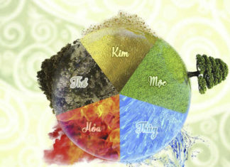 The Ultimate Guide to Feng Shui Colors for Your Home: Discover Harmony and Balance