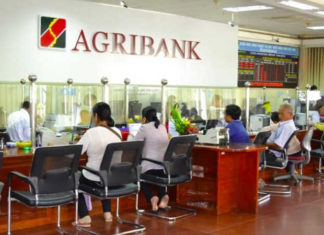 The Ultimate Guide to Agribank’s Savings Account Deposits