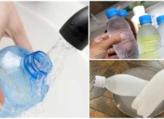 The Magic Cool Down: Instant Home Refresh with Just 2 Bottles