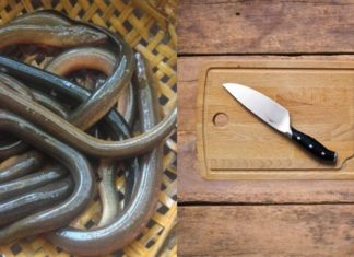 The Ultimate Guide to Preparing Nutritious Eels: 2 Quick and Easy Methods to Remove the Bones