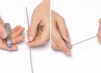 The 6 Superpowers of a Nail Clipper That’ll Save the Day