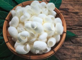 What is the Role of Hydrolyzed Silk in Cosmetics?