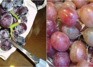 The Ultimate Guide to Sparkling Clean Grapes