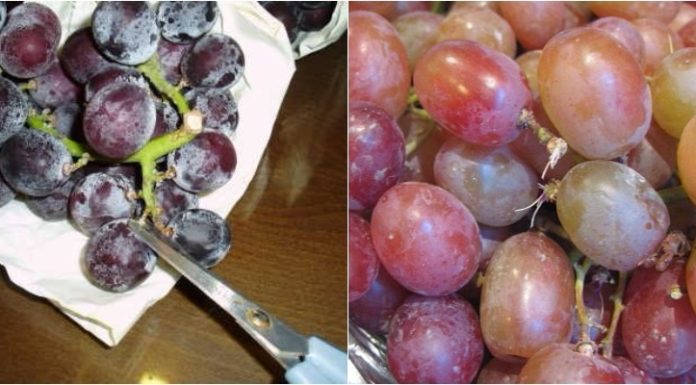 The Ultimate Guide to Sparkling Clean Grapes