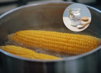“The Ultimate Guide to Corn Supreme: A Crisp, Quick, and Delicious Delicacy”