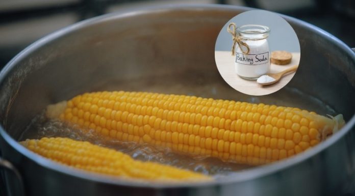 “The Ultimate Guide to Corn Supreme: A Crisp, Quick, and Delicious Delicacy”