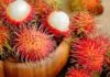 The Ultimate Guide to Selecting the Perfect Rambutan: Thick Flesh and Easy Peel