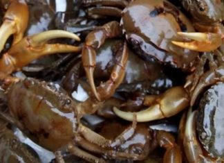 The Ultimate Guide to Crab Soup: Clear Broth, Delicious Crab Meatballs, a True Taste Sensation