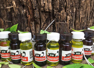 The Mischievous Mice on the Ceiling: How to Get Rid of Them