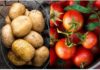 Is It True That Potatoes and Tomatoes Are a Deadly Combination?