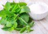Stevia: The Natural Sweetener That’s Perfect for Diabetics