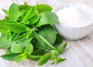Stevia: The Natural Sweetener That’s Perfect for Diabetics