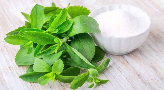 Stevia: The Natural Sweetener That’s Perfect for Diabetics