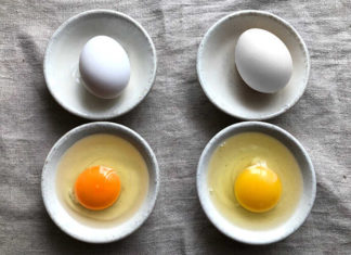 Does Eating Dark Yellow Yolks Make You Healthier Than Lighter Ones?