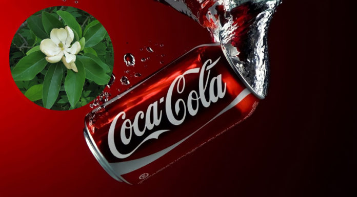 “Coca-Cola: More Than a Refreshing Drink, an Unforeseen Plant Powerhouse.”